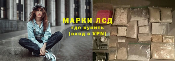 СК Инта