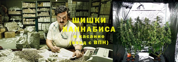 СК Инта