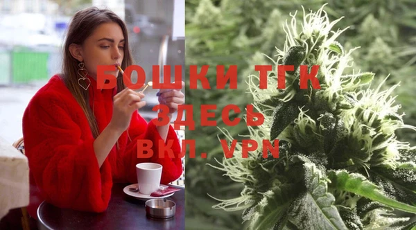 СК Инта