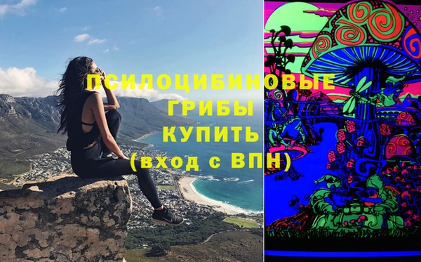 стаф Карталы
