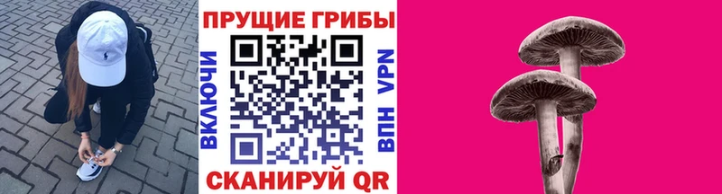 Псилоцибиновые грибы Psilocybe закладка гидра ТОР Касимов
